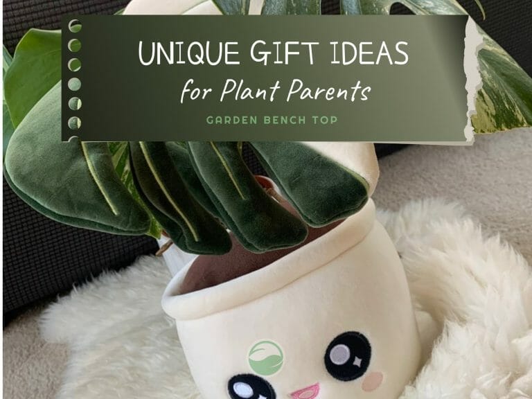 Unique Gift Ideas for Plant Parents cover
