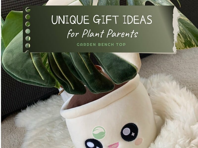 Unique Gift Ideas for Plant Parents