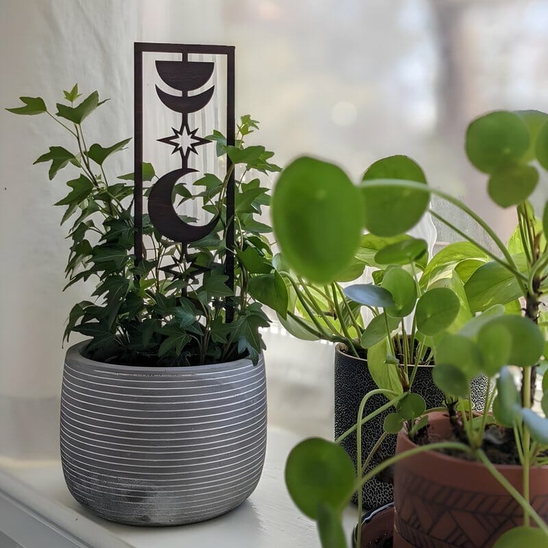 Upcycled Trellis Ideas for Indoor Plants