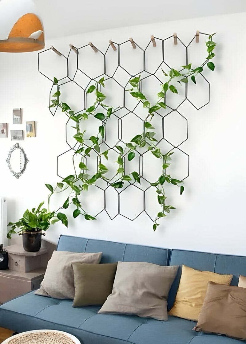 Hexagonal Wall Trellis