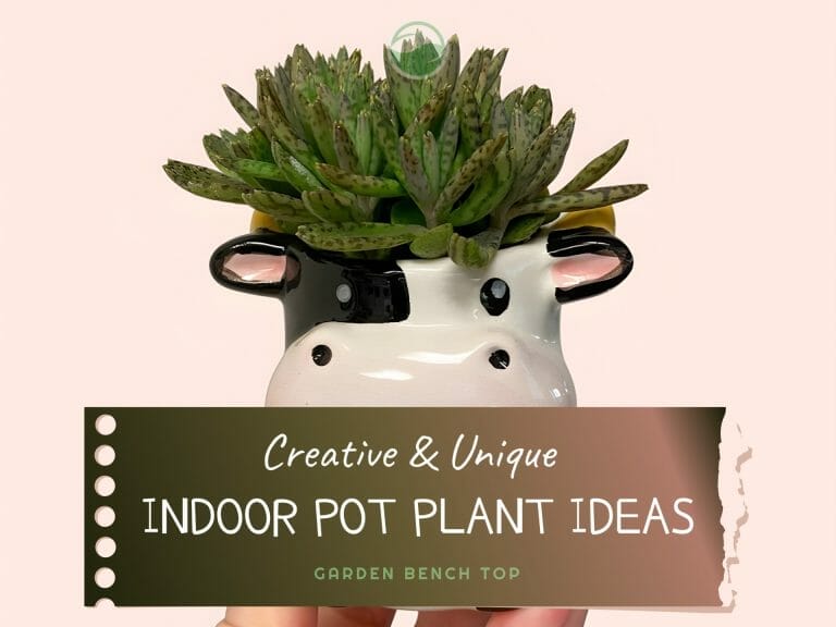 Creative Indoor Plant Pot Ideas