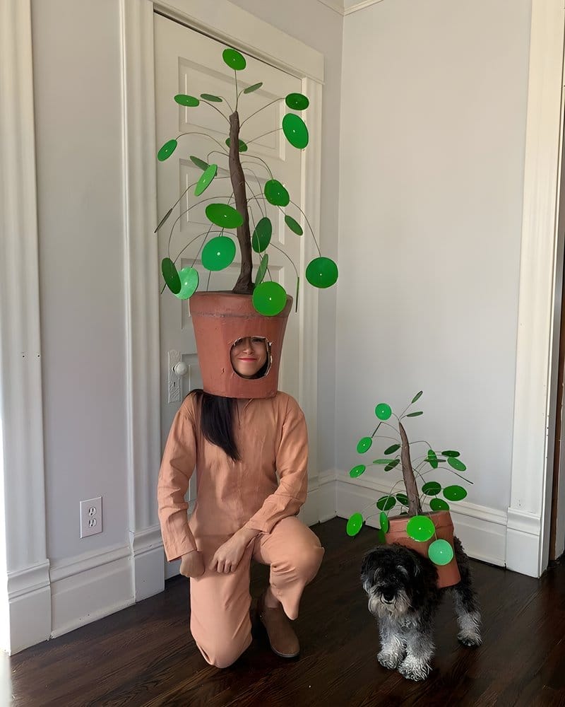 Indoor Plant Themed Halloween Ideas
