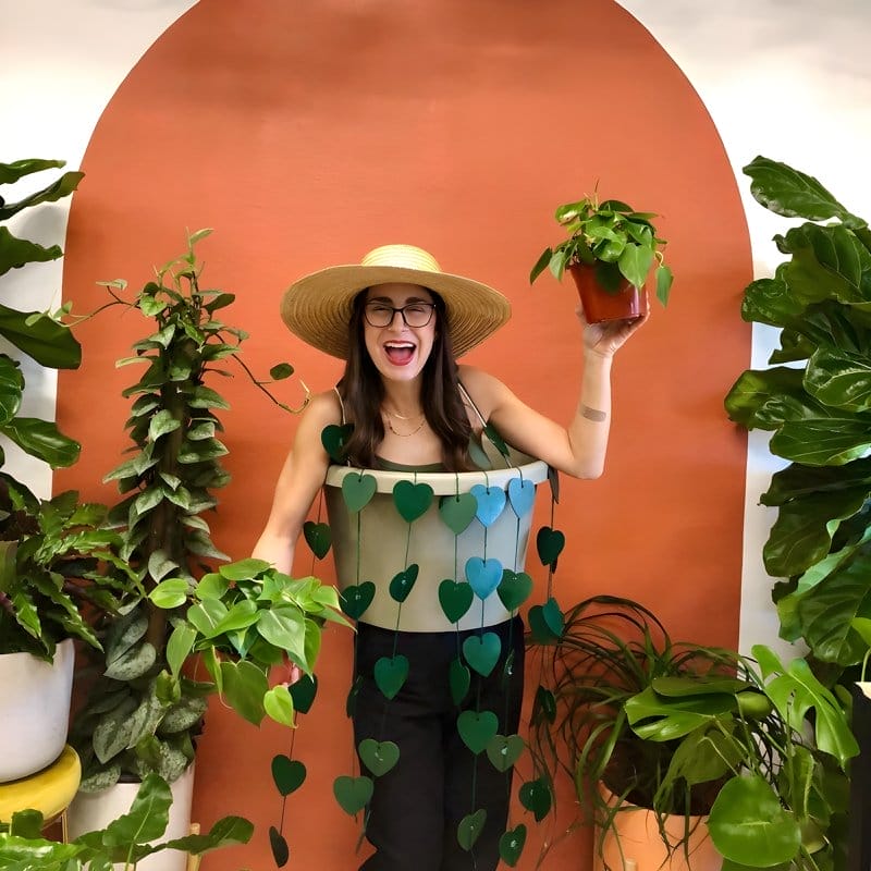 Indoor Plant Themed Halloween Ideas
