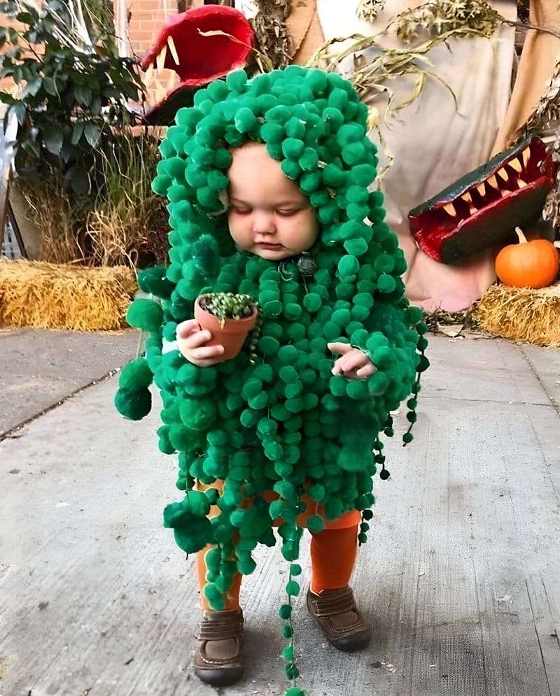 Indoor Plant Themed Halloween Ideas