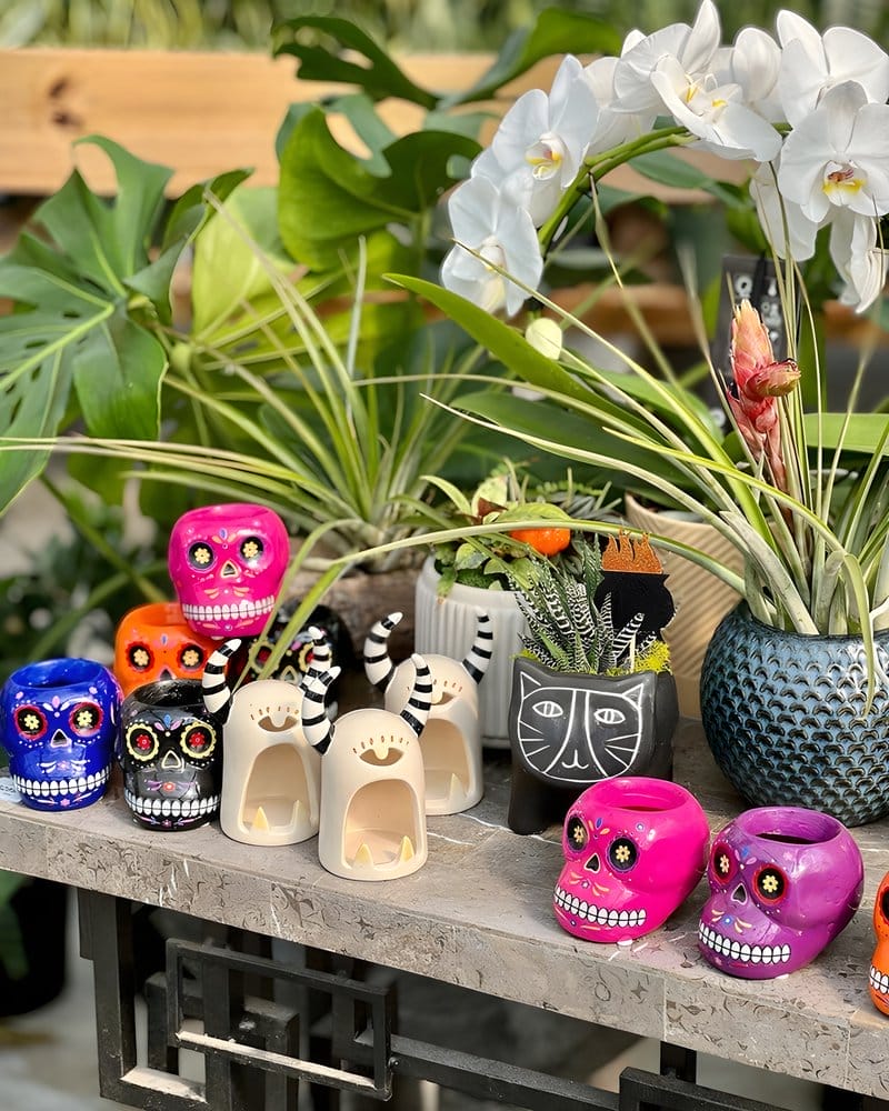 Indoor Plant Themed Halloween Ideas