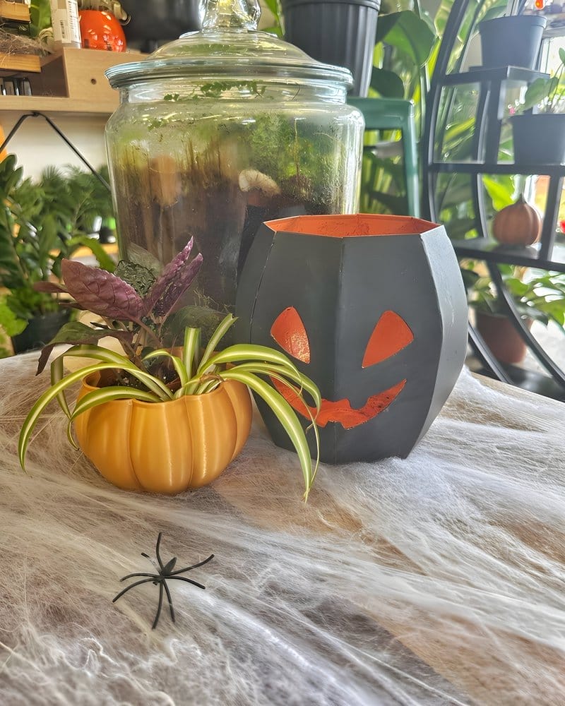 Indoor Plant Themed Halloween Ideas
