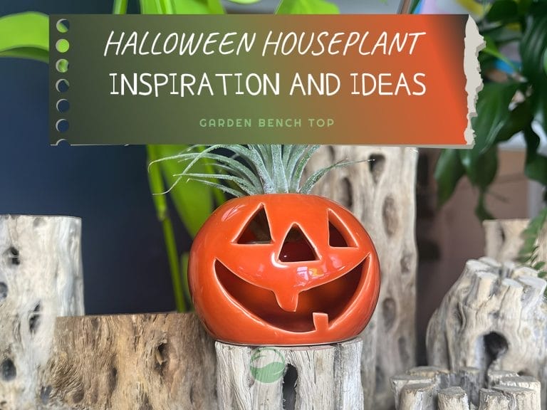 Indoor Plant Themed Halloween Ideas cover