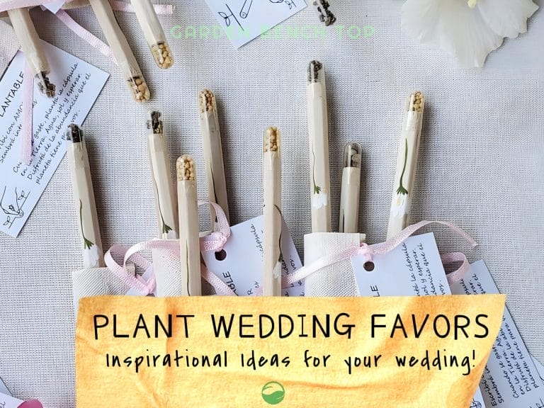 Plant Themed Wedding Favors