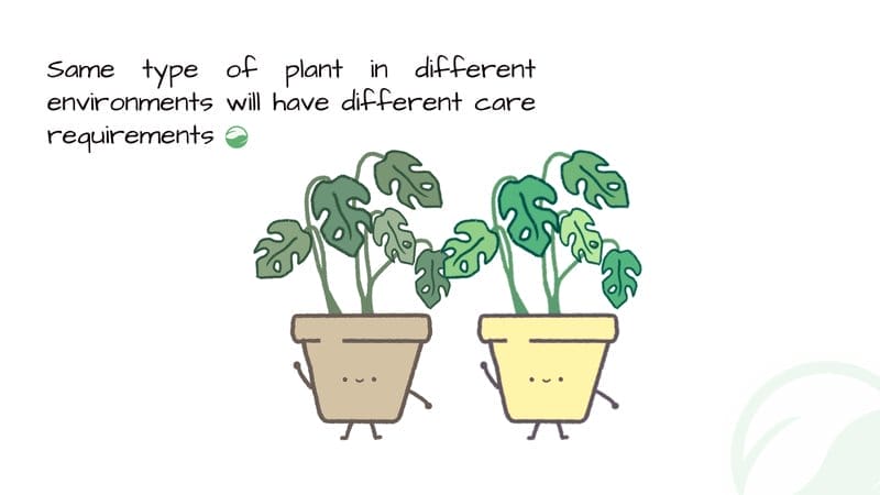 same plants in different environments behave differently
