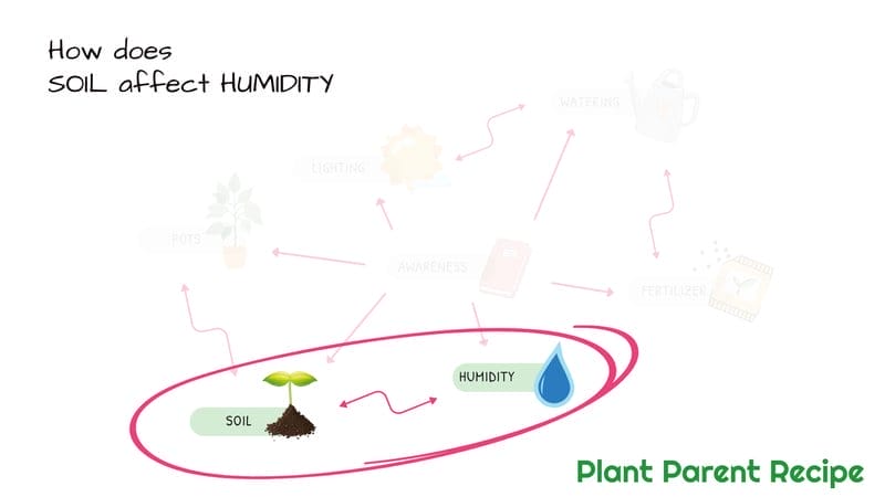 Humidity and Soil Relationship
