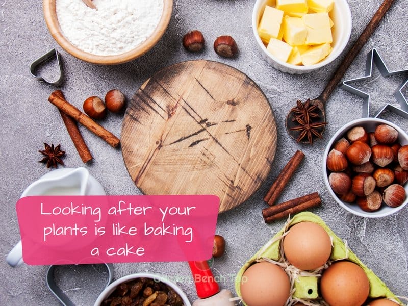 perfect plant parent recipe analogy