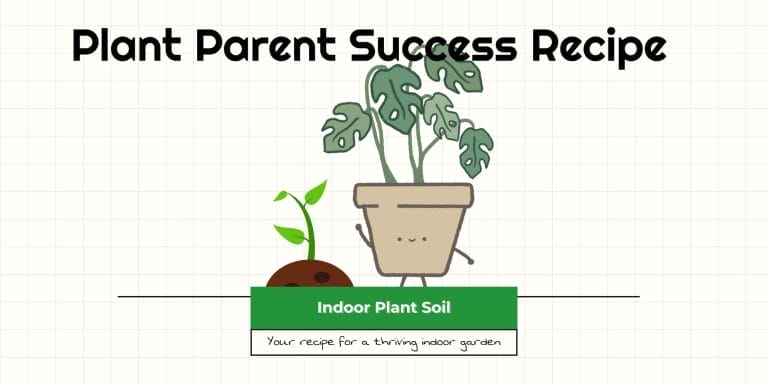 Indoor Plant Soil Basics