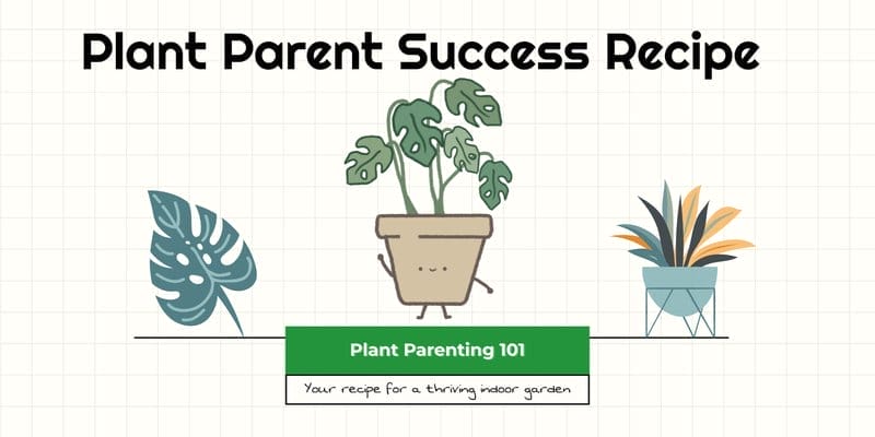 Plant Parent Success Recipe Title
