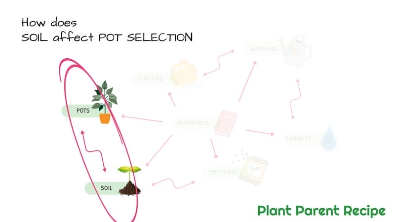 Soil and Pot Selection Relationship